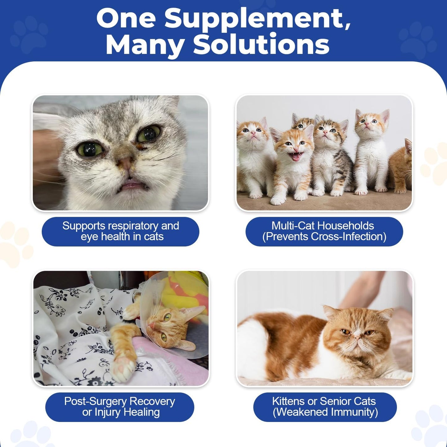 Ninibabie L-Lysine for Cats, Daily Multivitamin, Chicken Flav, 3.7 oz, Exp 7/27