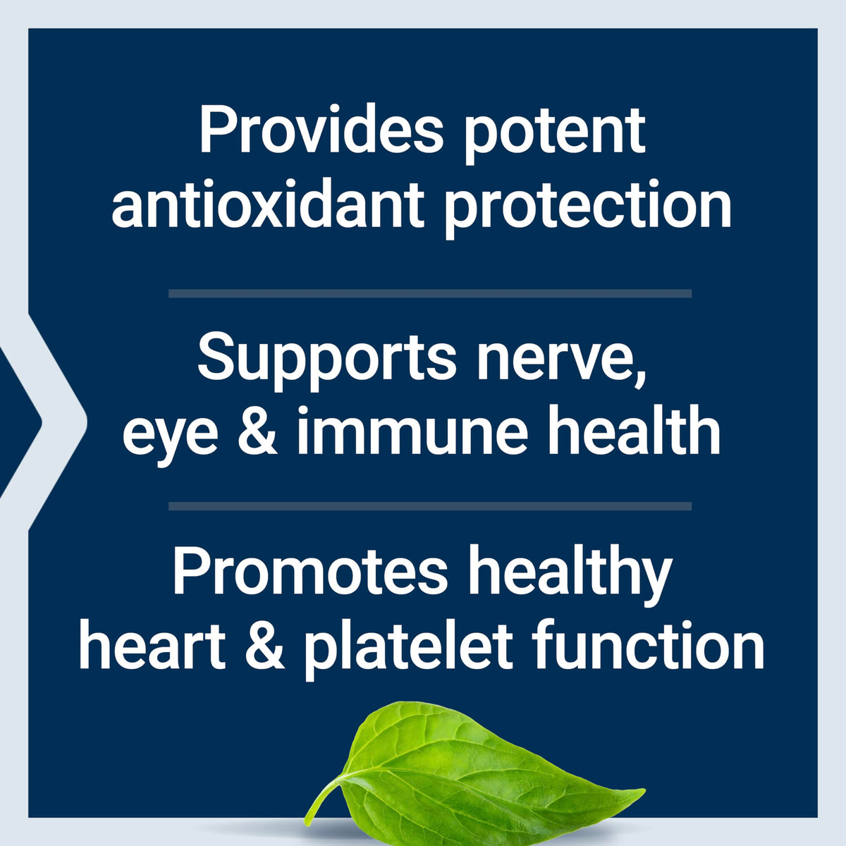 Life Extension Gamma E Vitamin E Mixed Tocopherols 60 Softgels Antioxidant-exp04/28