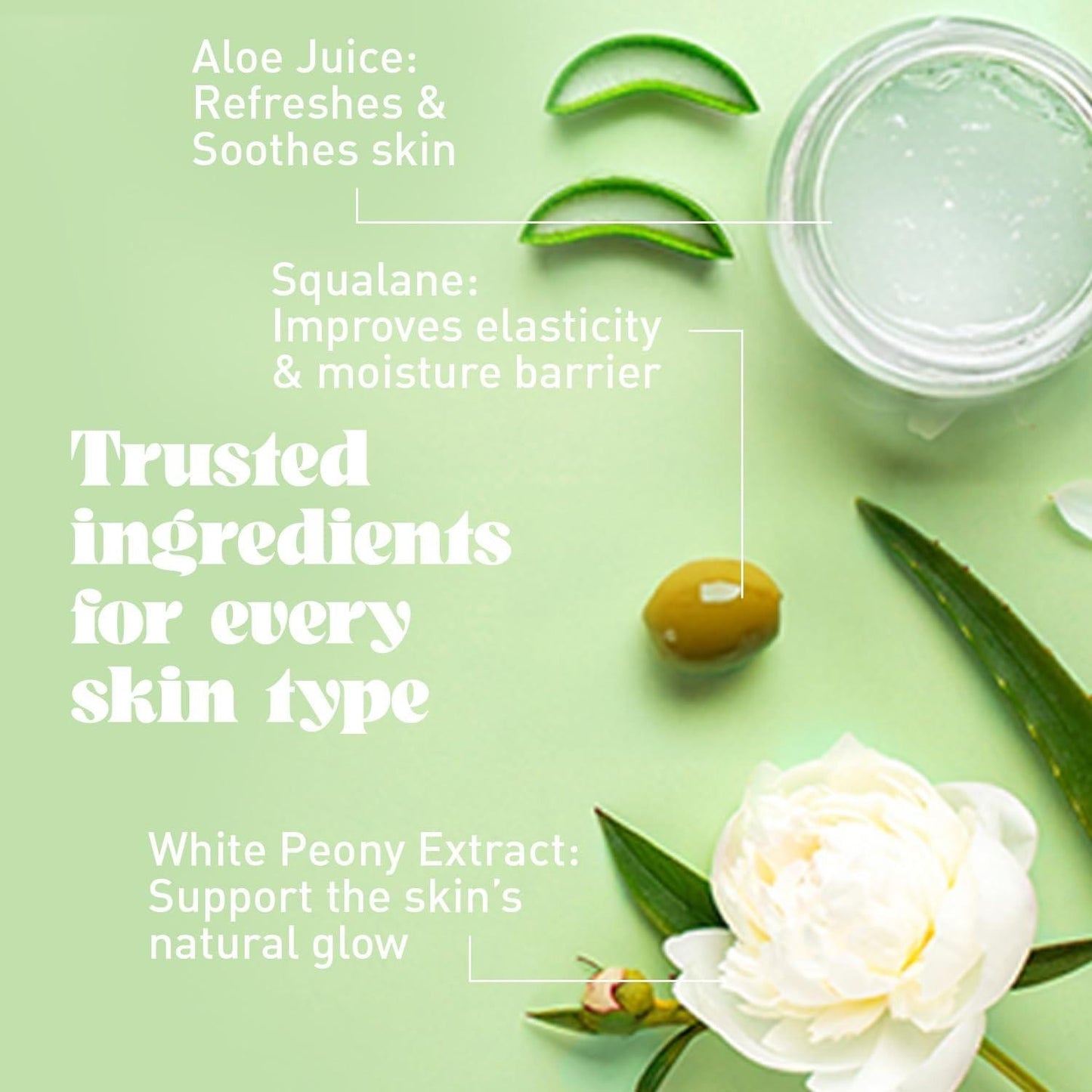 NatureWell Dreamy Radiating Body Cream (2 Pack, 24oz total) Free Shipping!