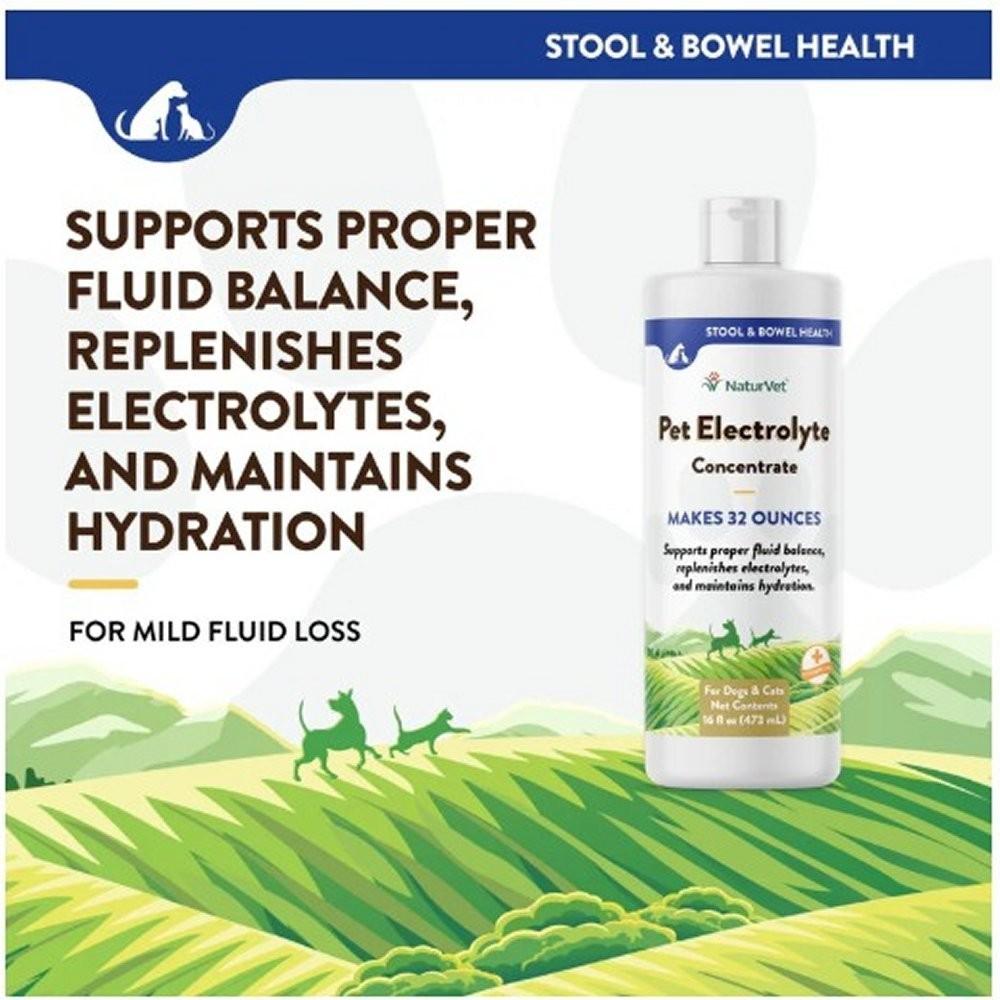NaturVet Pet Electrolyte Concentrate for Dogs and Cats, 16 oz, Free Ship!
