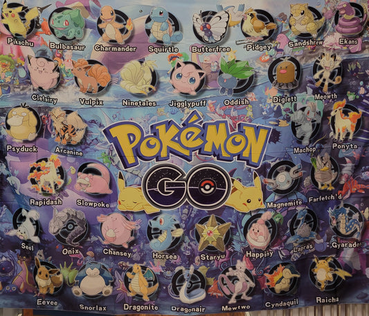 Pokemon Go, silk fabric wall art poster, 72" x 58