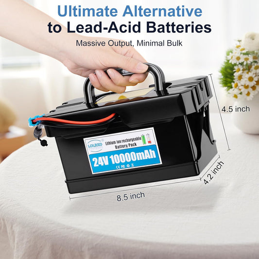 Lolrko 24 Volts, 10Ah Lithium Ion Rechargeable Battery w/ Charger - New!