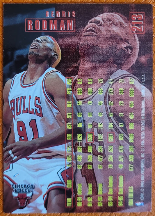 1995-96 Fleer #213 Dennis Rodman
