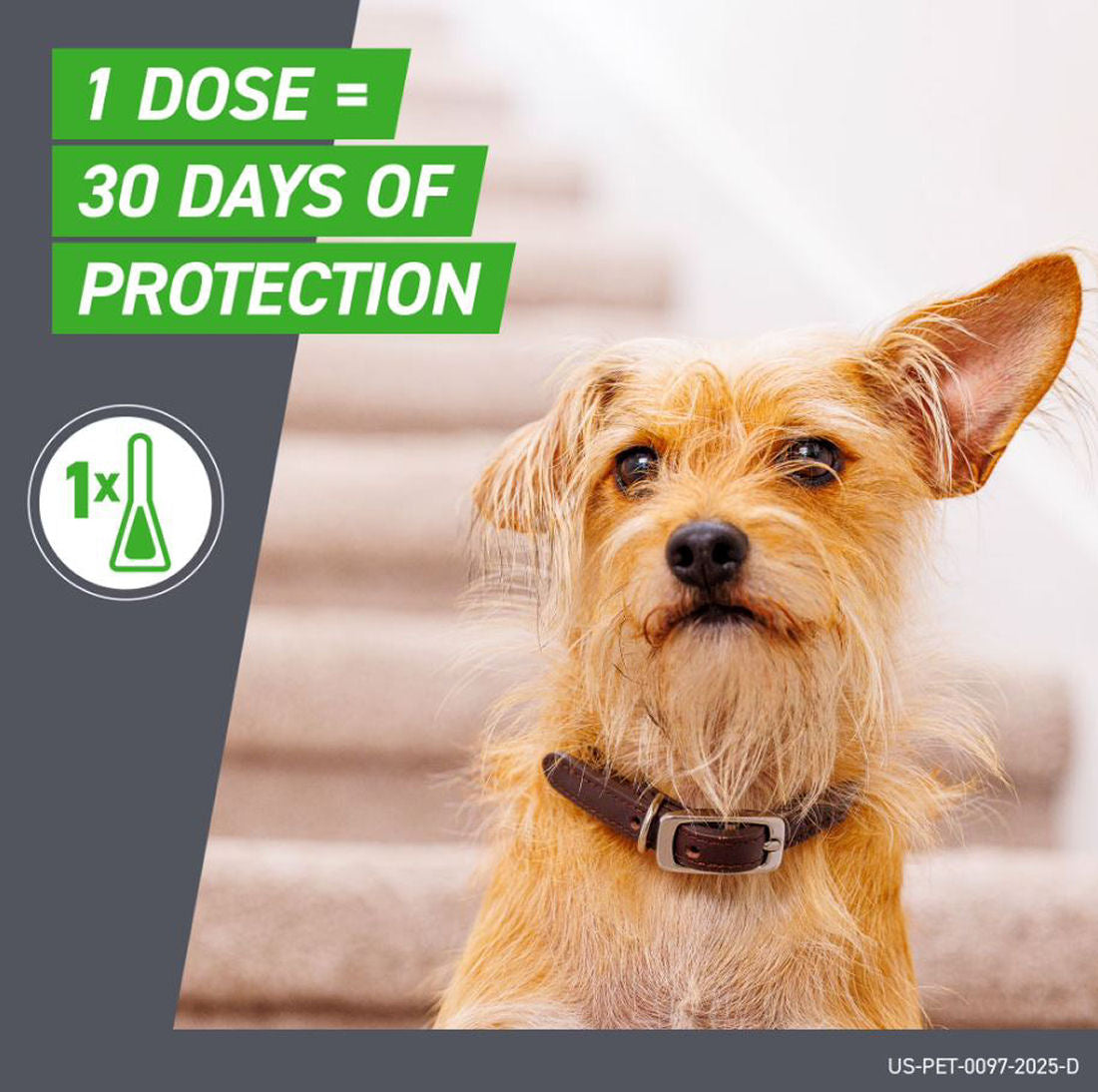 Frontline Plus for Large Dogs 45-88 lbs - 3 Doses, 1 Month Supply - New!