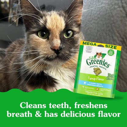 Feline Greenies Dental Treats, Catnip Flavor, 4.6 oz Pouch - New!