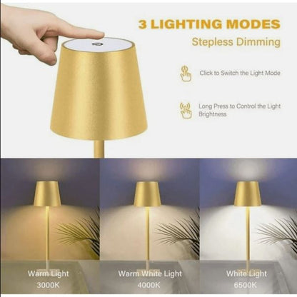 Mikasa Home Accents Set of 2 Touch Control Rechargeable LED Lamps - Gold, New!