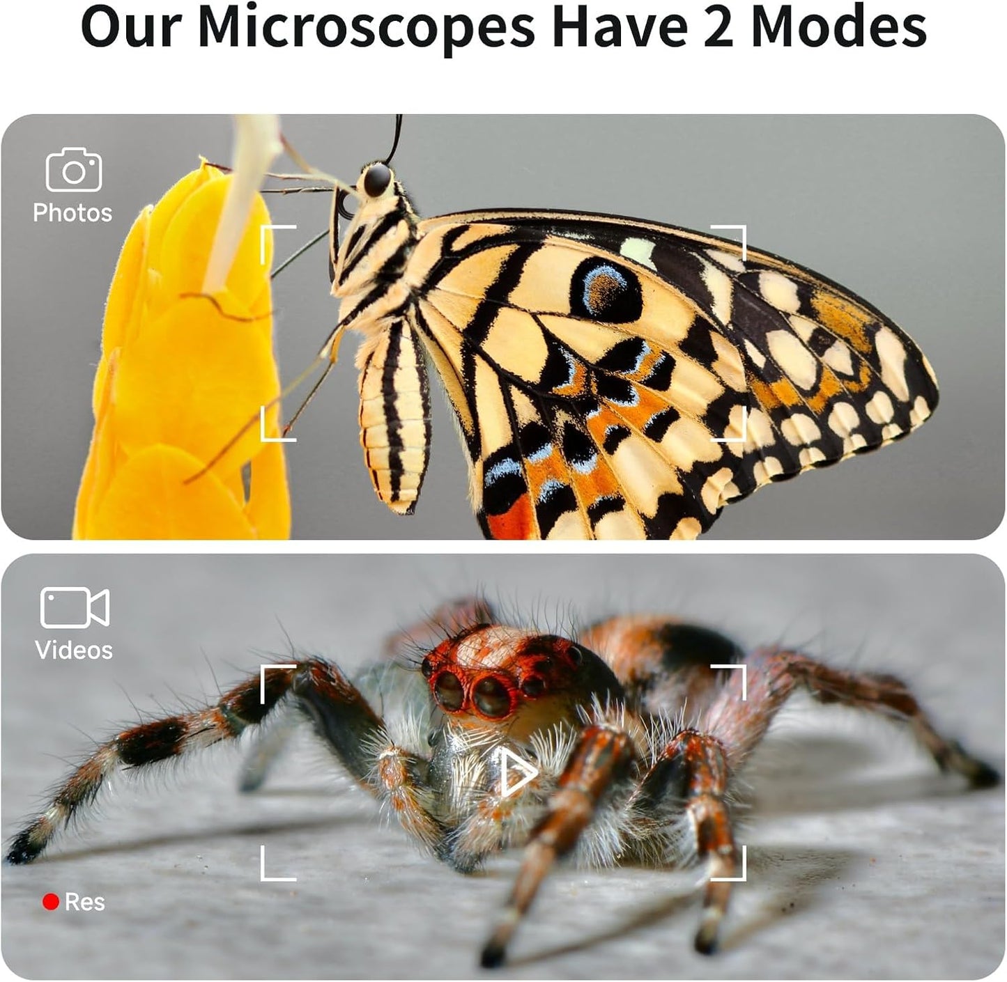 Beaverlab Digital Microscope Darwin DDL-M2C, 4" Display, New (OB)