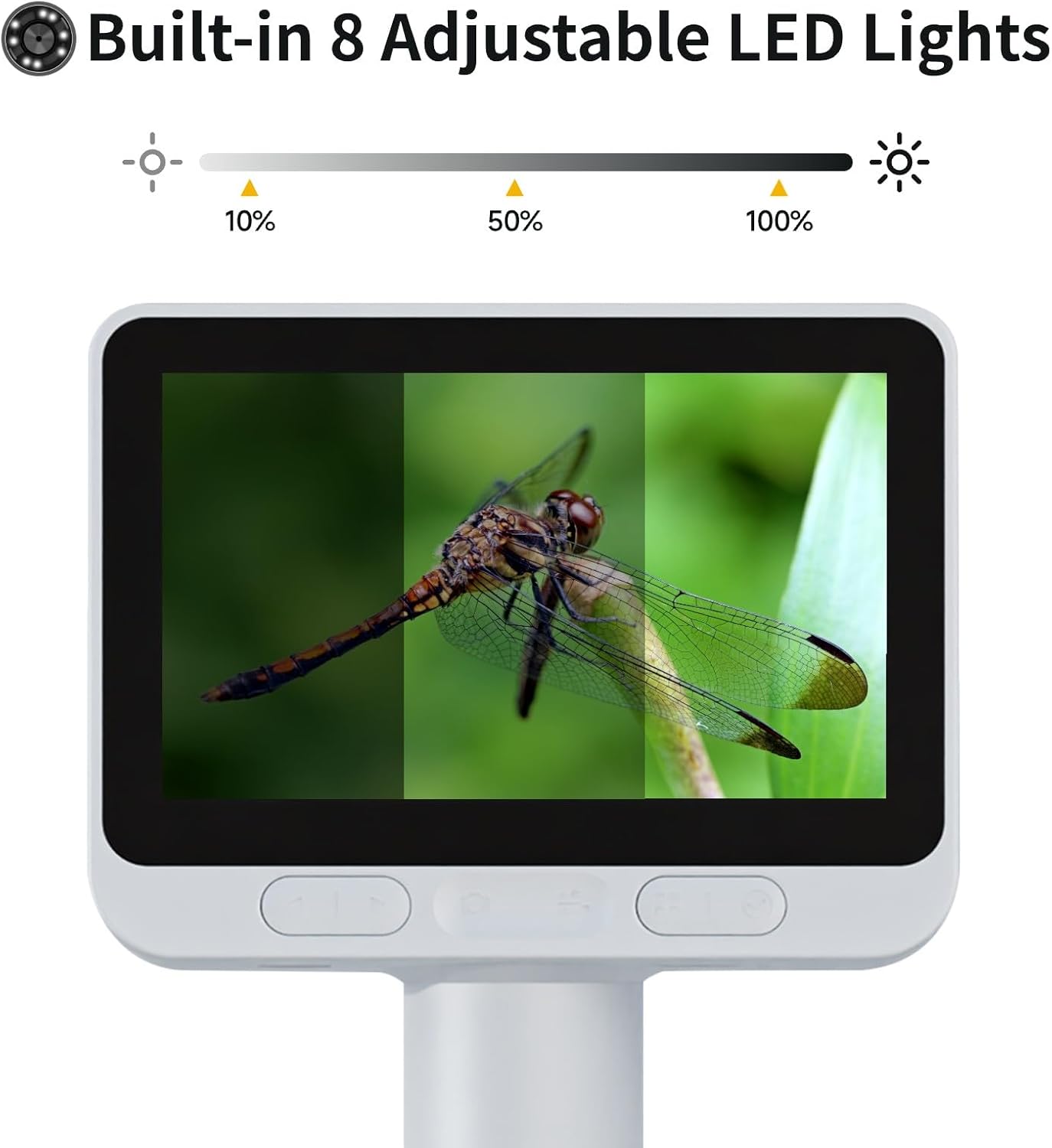 Beaverlab Digital Microscope Darwin DDL-M2C, 4" Display, New (OB)
