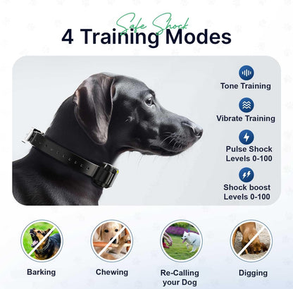 Deynisysty / My Pet Dog Training Collar (MPC625) w/ Remote, 1 Mile Range, New!