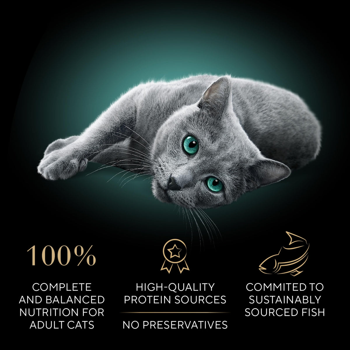 Sheba Perfect Portions Cuts Gravy  Cat Food Variety 24 Twin Packs - EXPIRES 05/2026!