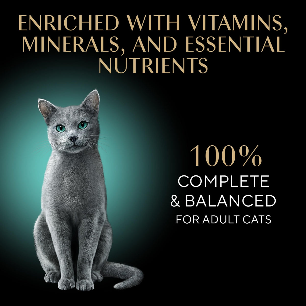 Sheba Perfect Portions Cuts Gravy  Cat Food Variety 24 Twin Packs - EXPIRES 05/2026!