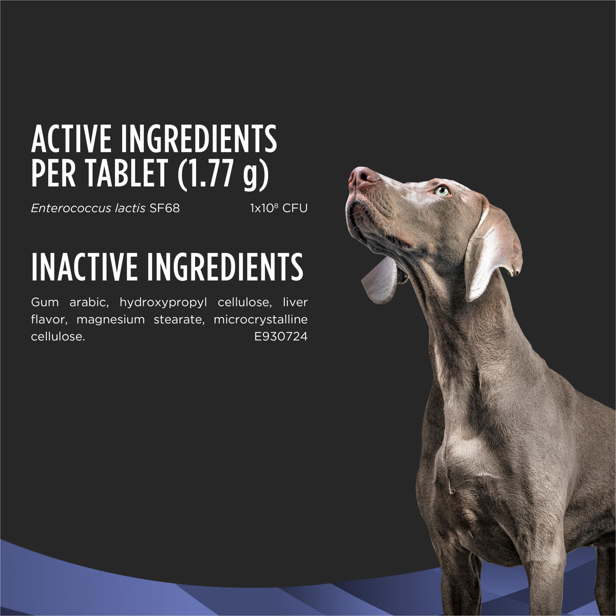 Purina Pro Plan FortiFlora Dog Probiotic Chewable Tablets 45 Count for Digestion - NEW!