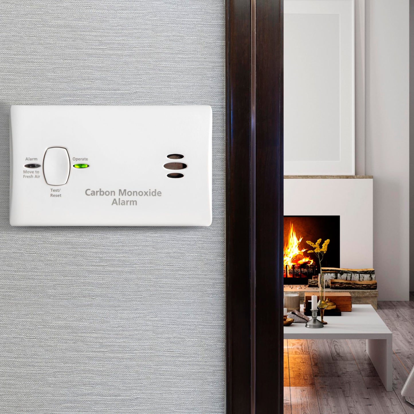 Kidde Carbon Monoxide Detector KN-COB-LP2, AA Battery, Portable, (2 pack) - New!