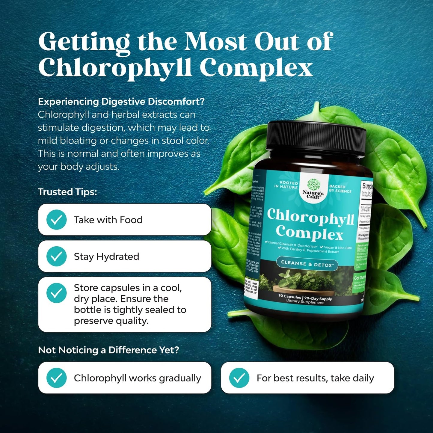 Natures Craft Chlorophyll Complex Internal Clenser Detox, 90 capsules, Exp 8/28