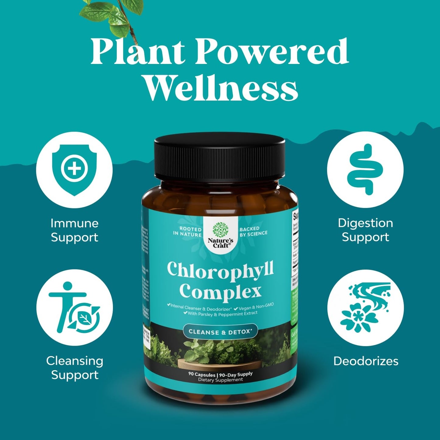 Natures Craft Chlorophyll Complex Internal Clenser Detox, 90 capsules, Exp 8/28