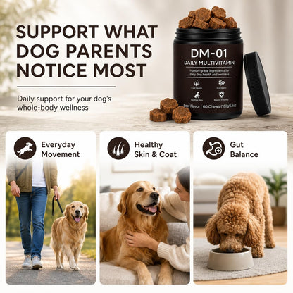 Dog Multivitamin Soft Chews, 12-in-1 Joint, Gut and Coat Support, Beef Flavor - NEW!