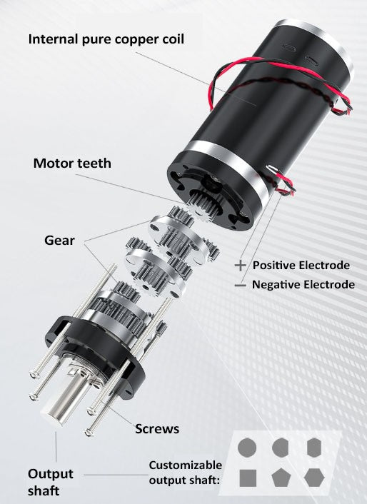 DC 12V/24V Planetary Brushed Motor 32GP-31ZY with Speed Control & Reversible - NEW!