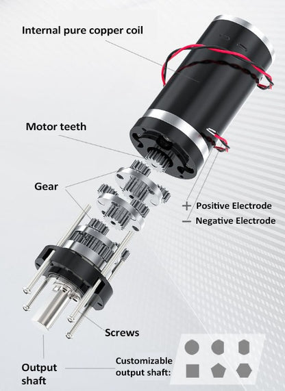 DC 12V/24V Planetary Brushed Motor 32GP-31ZY with Speed Control & Reversible - NEW!
