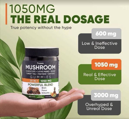 Purawex Mixed Fruit Mushroom Complex Gummies, 60 count, Exp. 3/27, Free Ship!