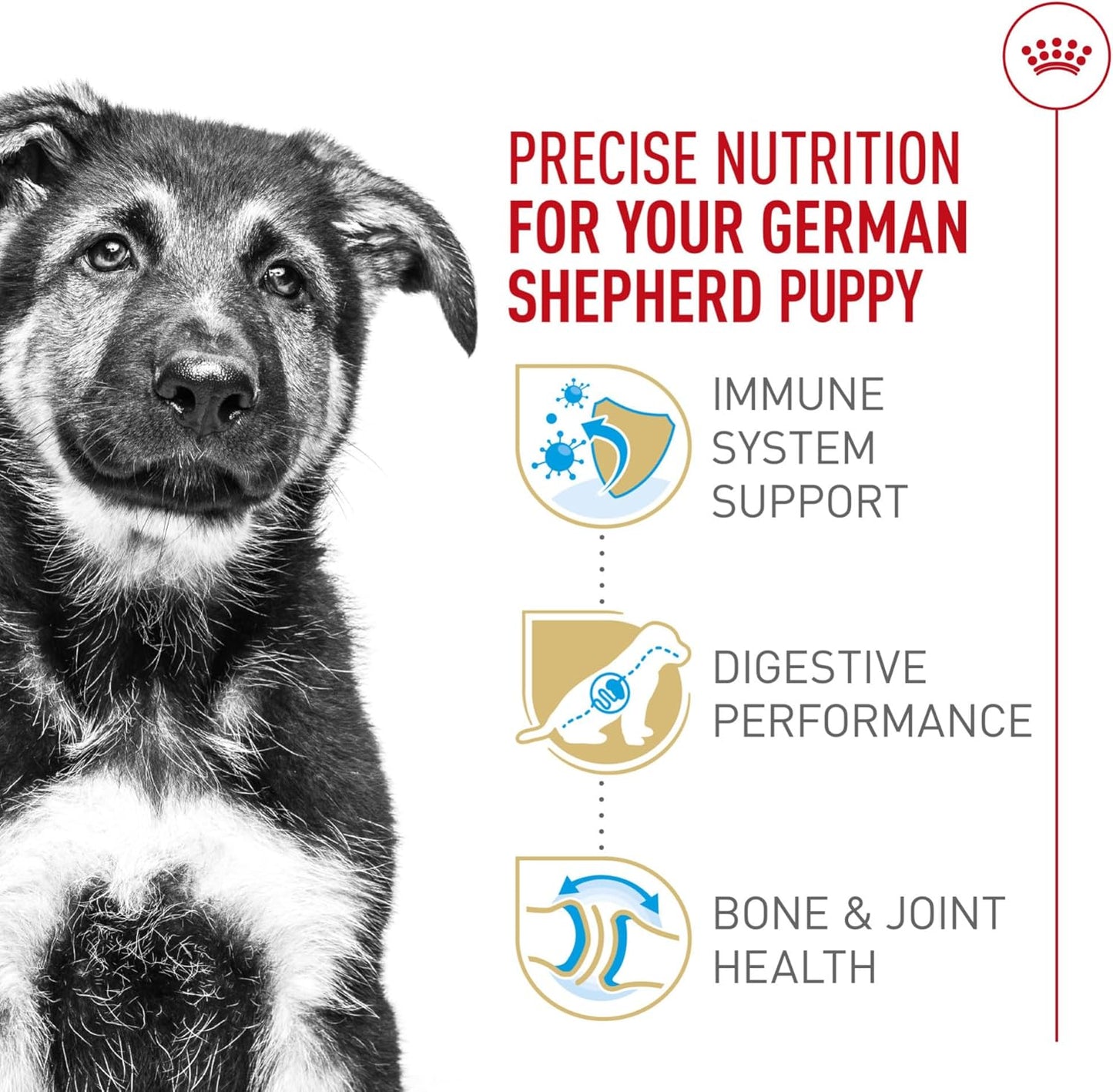 Royal Canin Puppy German Shepherd Breed Nutrition Dog Food, 2.5 lbs, Exp. 3/2027