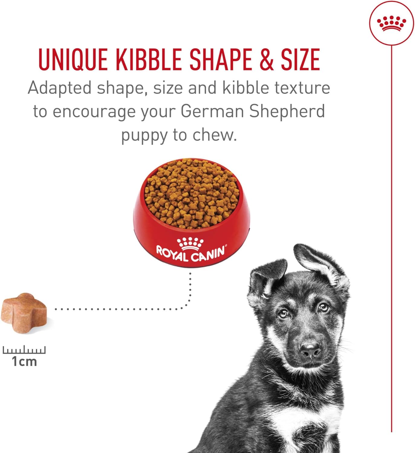 Royal Canin Puppy German Shepherd Breed Nutrition Dog Food, 2.5 lbs, Exp. 3/2027