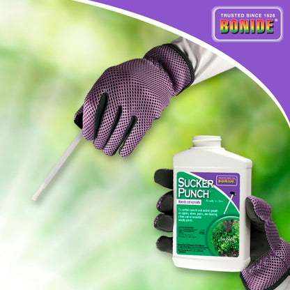 Bonide Sucker Punch, 8 oz Ready-to-Use Sprout Control Liquid, w/ Brush on - New!